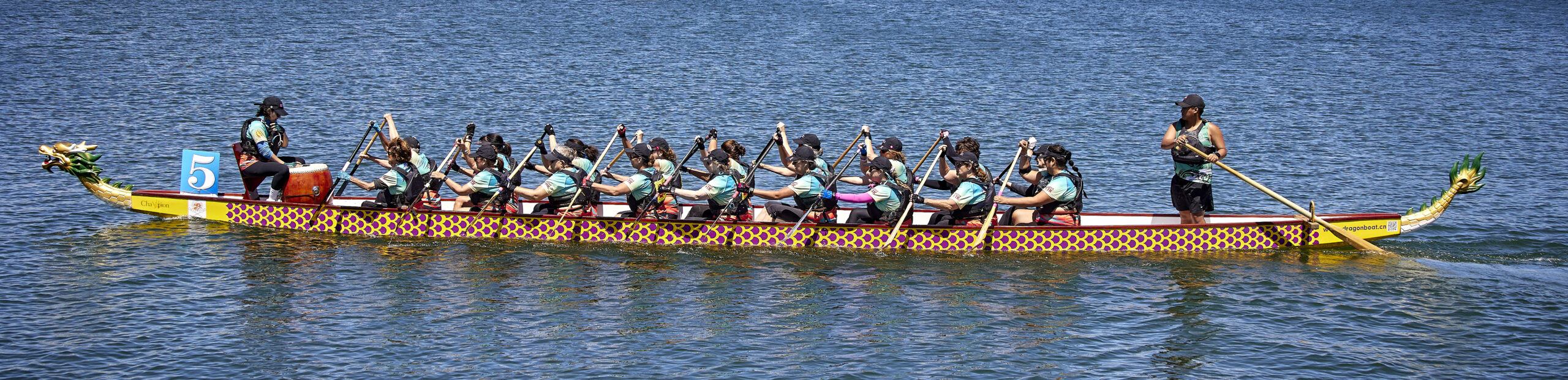 LA Pink Dragons Boat racing team