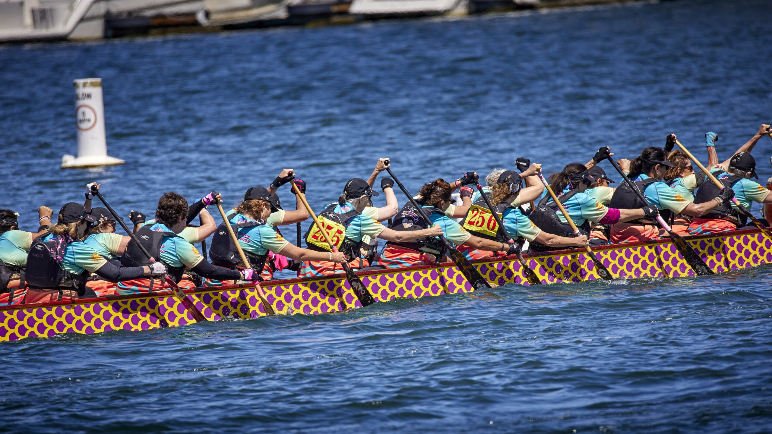 Los Angeles Pink Dragons paddling hard Los Angeles Pink Dragons paddling hard
