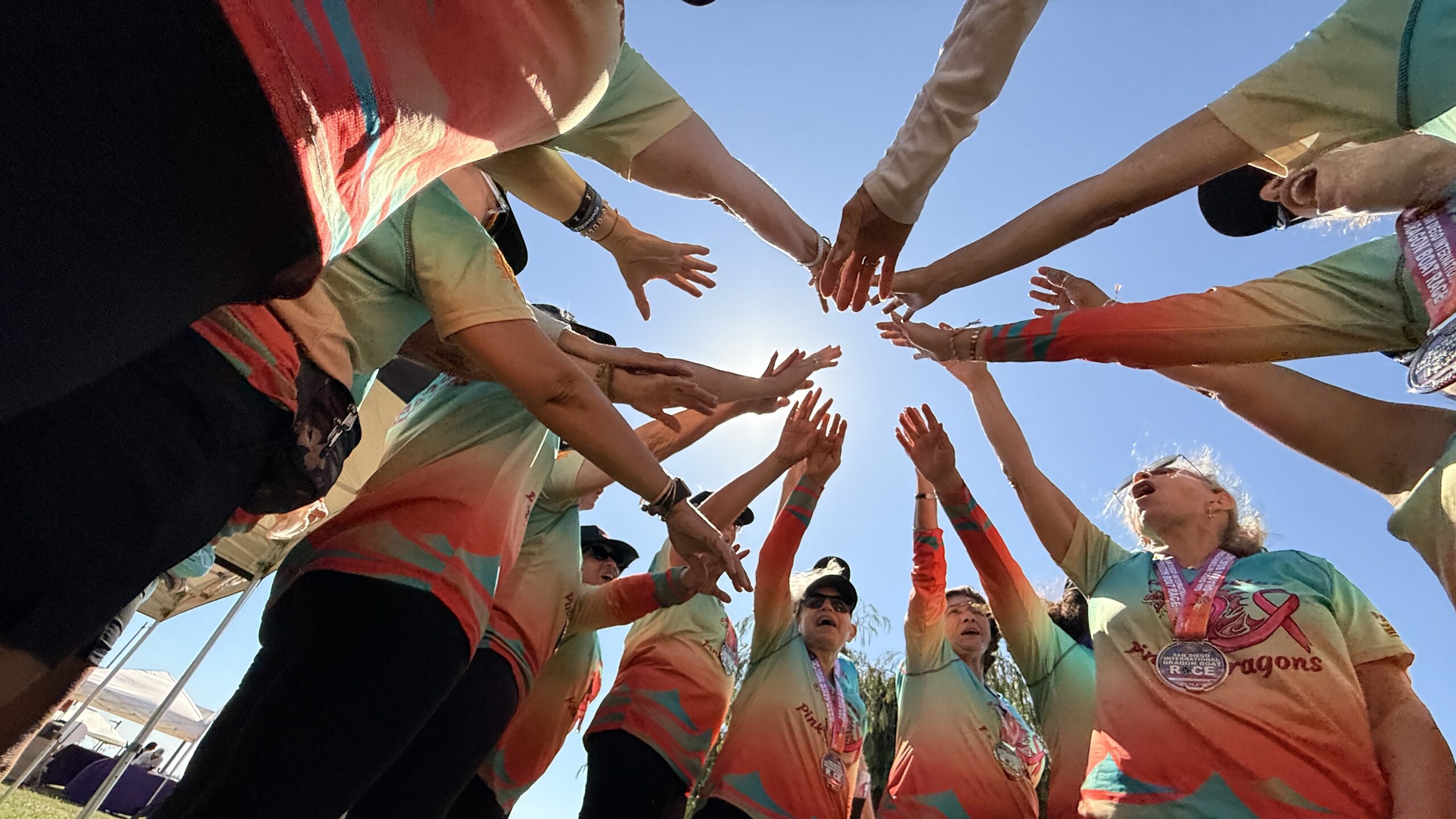 donate los angeles Pink Dragons